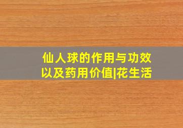 仙人球的作用与功效以及药用价值|花生活